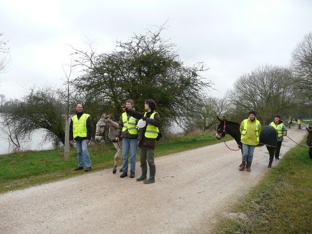 Loire propre 2014 (10).jpg